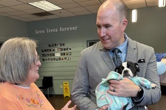 Tacoma City Council Adopts New Animal Code Revisions to Combat Pet Overpopulation