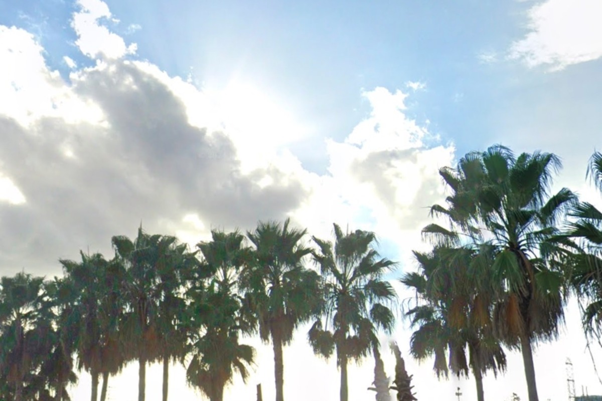 Tampa Braces for Mixed Weather with Sunny Skies Thunderstorms and High