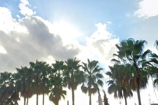 Tampa Braces for Mixed Weather with Sunny Skies Thunderstorms and High Heat Index