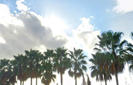 Tampa Braces for Mixed Weather with Sunny Skies Thunderstorms and High Heat Index