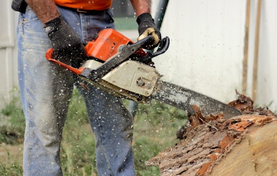 Teen Laborer Dead From Chainsaw Injury in Workplace Accident in Muskegon