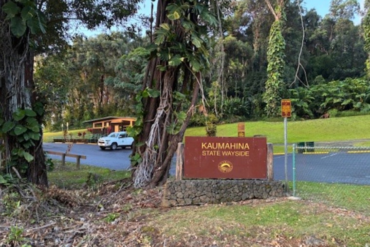 Temporary Closure of Kaumahina Wayside Announced for Hazardous Tree Removal Along Hāna Highway