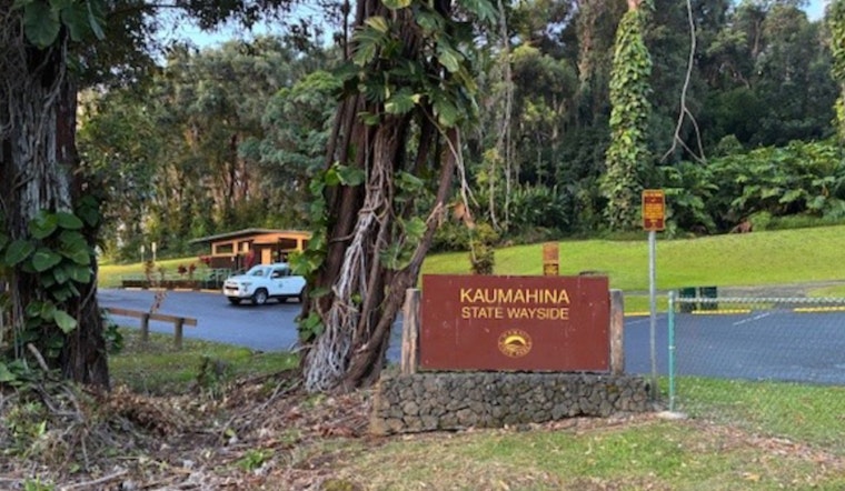 Temporary Closure of Kaumahina Wayside Announced for Hazardous Tree Removal Along Hāna Highway
