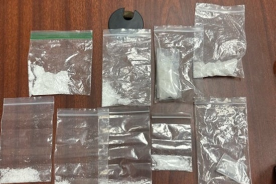 Tennessee Deputies' Vigilance Leads to Meth Seizure and Auto Theft Arrests in Anderson County