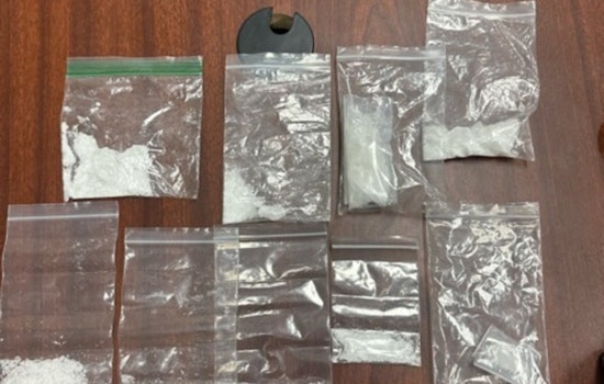 Tennessee Deputies' Vigilance Leads to Meth Seizure and Auto Theft Arrests in Anderson County