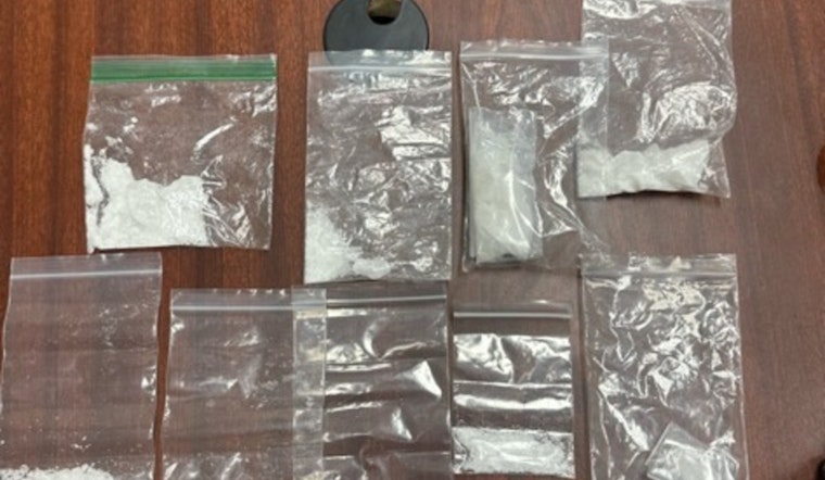Tennessee Deputies' Vigilance Leads to Meth Seizure and Auto Theft Arrests in Anderson County