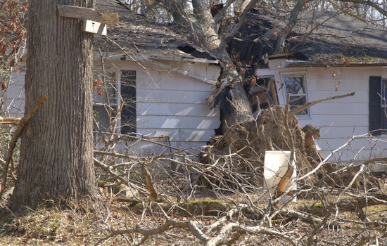 Tennessee Storm Victims Offered Sales Tax Refunds as Part of Disaster Relief Efforts