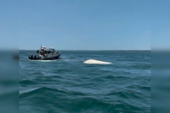 Three Rescued from Capsized Boat Off Marion Coast by Quick-Acting Harbormaster and Emergency Services