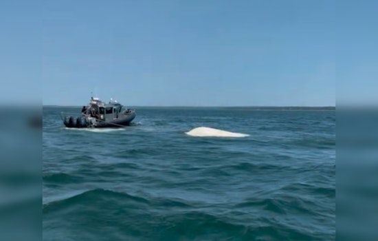 Three Rescued from Capsized Boat Off Marion Coast by Quick-Acting Harbormaster and Emergency Services