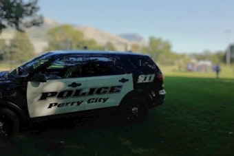 Tragic Tree Branch Accident Claims Life of Elderly Woman, Injures Another at Perry Park