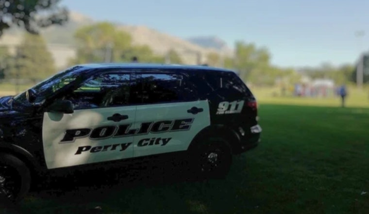 Tragic Tree Branch Accident Claims Life of Elderly Woman, Injures Another at Perry Park