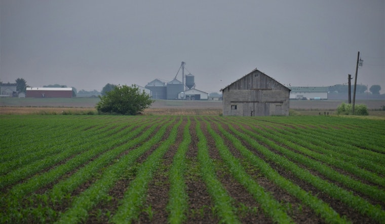 University of Minnesota and Local African Diaspora Cultivate Cultural Crops Amidst Chilly Climes