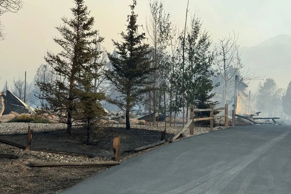 Unrelenting Forsyth Fire Decimates 17 Homes in Pine Valley, Remains Zero Percent Contained