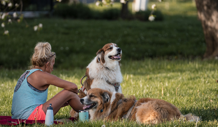 Upper Arlington Officials Issue Reminder for Dog Owners: Leash and Clean-Up Rules Enforced This Summer