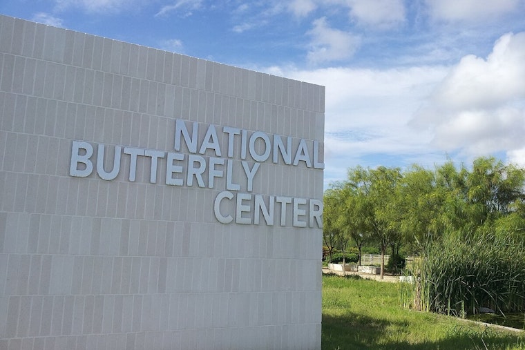 U.S. Border Patrol Agents Heroically Rescue Individual from Rio Grande Near National Butterfly Center