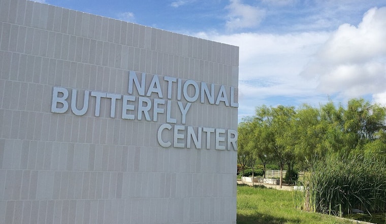 U.S. Border Patrol Agents Heroically Rescue Individual from Rio Grande Near National Butterfly Center