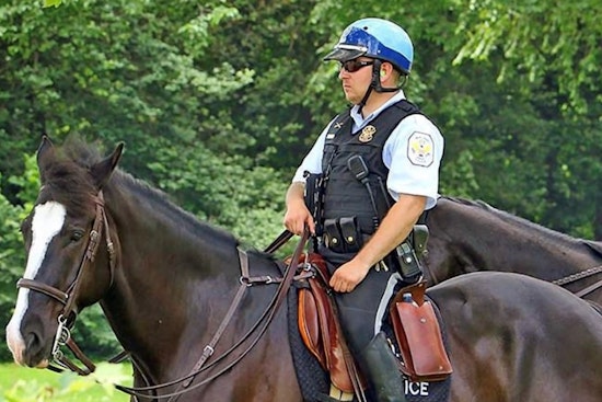 U.S. Park Police Horse Mounted Patrol: Serving Tradition and Safety on the Streets of Washington D.C.