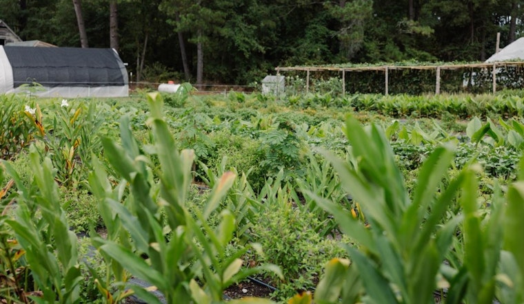 Wake County Invites Public Input on Farmland Preservation Plan Amid Development Pressures