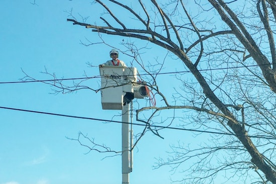 Wake Forest Power Conducts Preventative Tree Trimming as Delays Expected on Durham Road and NC 98