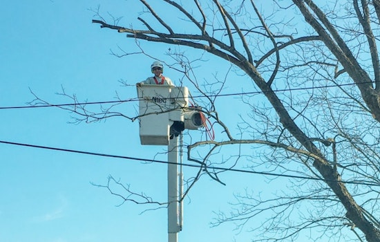 Wake Forest Power Conducts Preventative Tree Trimming as Delays Expected on Durham Road and NC 98