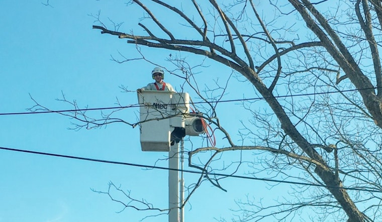 Wake Forest Power Conducts Preventative Tree Trimming as Delays Expected on Durham Road and NC 98