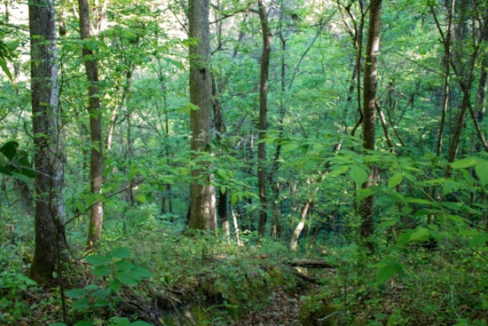 Walnut Creek Wetland Park in Raleigh Announces LGBTQ+ Inclusive 'Out in Nature' Events for June