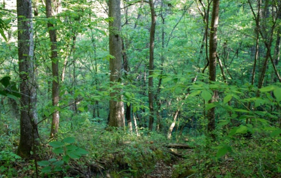 Walnut Creek Wetland Park in Raleigh Announces LGBTQ+ Inclusive 'Out in Nature' Events for June