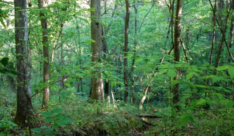 Walnut Creek Wetland Park in Raleigh Announces LGBTQ+ Inclusive 'Out in Nature' Events for June