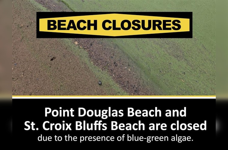 Washington County Closes St. Croix Bluffs and Point Douglas Beaches Due to Toxic Blue-Green Algae Bloom
