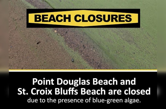 Washington County Closes St. Croix Bluffs and Point Douglas Beaches Due to Toxic Blue-Green Algae Bloom