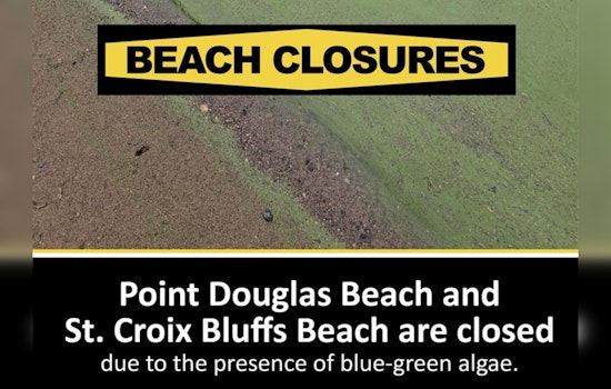 Washington County Closes St. Croix Bluffs and Point Douglas Beaches Due to Toxic Blue-Green Algae Bloom