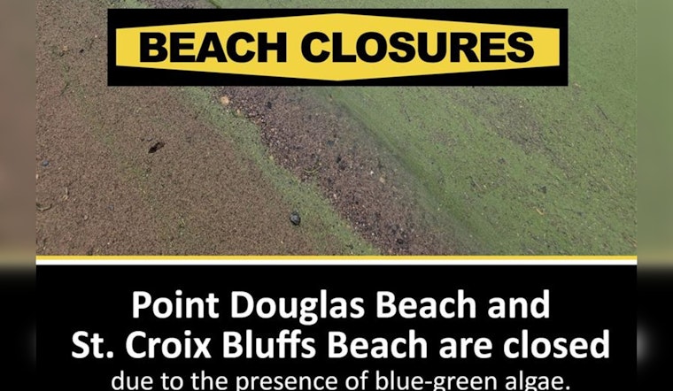 Washington County Closes St. Croix Bluffs and Point Douglas Beaches Due to Toxic Blue-Green Algae Bloom