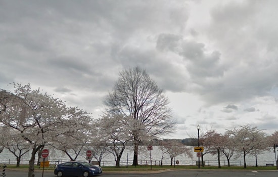 Washington D.C. Braces for Severe Weather, NWS Issues Alert for Thunderstorms and Heat Wave