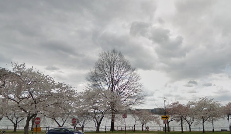 Washington D.C. Braces for Severe Weather, NWS Issues Alert for Thunderstorms and Heat Wave