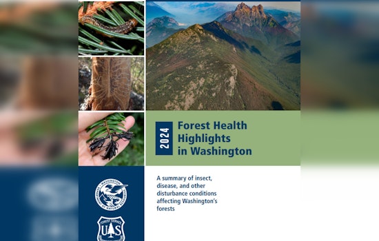 Washington Forest Health Report Reveals 545,000 Acres of Dead or Damaged Trees