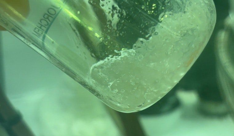 Washington State Proposes Strict Limits on PFAS in Consumer Goods, Invites Public Comment on Environmental Health Measures