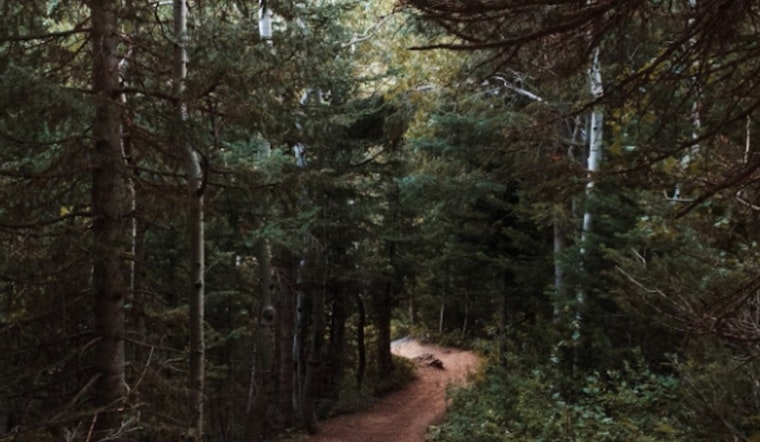 Washington's Olsen Creek State Forest Unveils Over 7 Miles of New Trails for Outdoor Enthusiasts