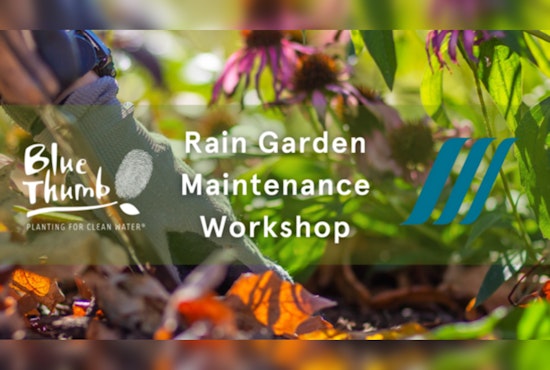 Willow Park Hosts Metro Blooms Workshop to Educate Residents on Rain Garden Maintenance