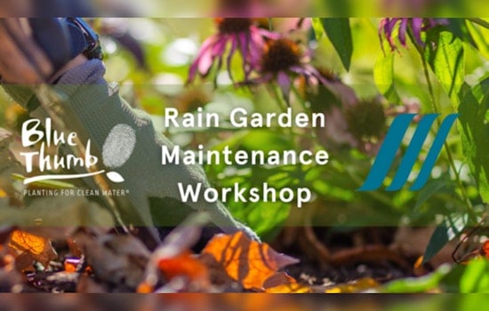 Willow Park Hosts Metro Blooms Workshop to Educate Residents on Rain Garden Maintenance