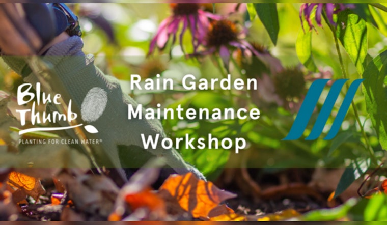 Willow Park Hosts Metro Blooms Workshop to Educate Residents on Rain Garden Maintenance