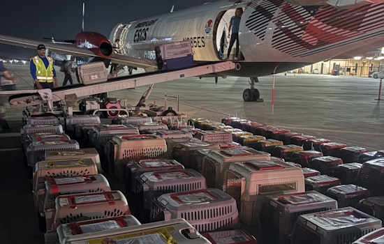 Wings of Rescue Collaborates with Grand Prairie Animal Services to Fly Pets to New Homes in Maryland and New York