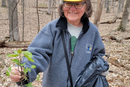 Wisconsin DNR Declares June Invasive Species Action Month and Calls for Public to Join the Fight Against Ecological Threats