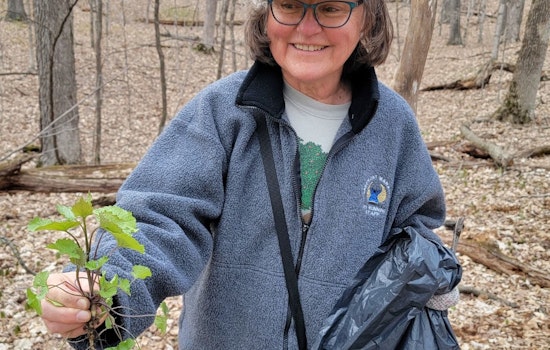 Wisconsin DNR Declares June Invasive Species Action Month and Calls for Public to Join the Fight Against Ecological Threats