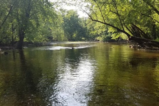 Wisconsin DNR Launches Mississippi River Habitat Restoration at Sam Gordy's Slough
