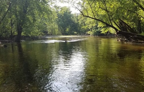 Wisconsin DNR Launches Mississippi River Habitat Restoration at Sam Gordy's Slough