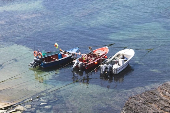 Wisconsin DNR Rallies Boaters and Anglers to Combat Invasive Species During Great Lakes Landing Blitz
