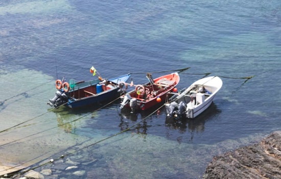 Wisconsin DNR Rallies Boaters and Anglers to Combat Invasive Species During Great Lakes Landing Blitz