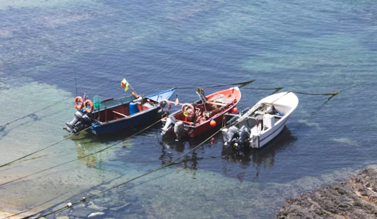 Wisconsin DNR Rallies Boaters and Anglers to Combat Invasive Species During Great Lakes Landing Blitz
