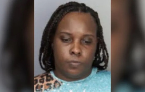 Woman Charged with Attempted Aggravated Robbery After Failed Bomb Threat Heist at Whitehaven Bank