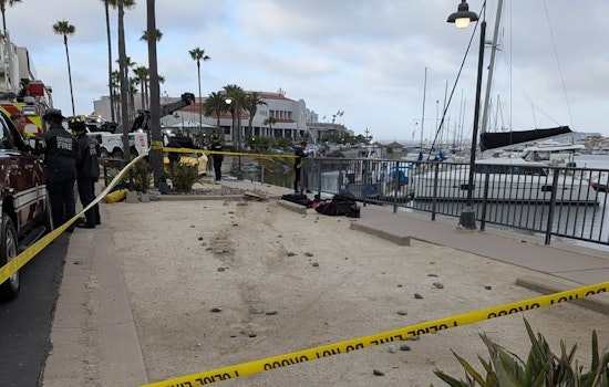 Woman Dies After Vehicle Plunges into San Diego Bay Near Coronado Resort
